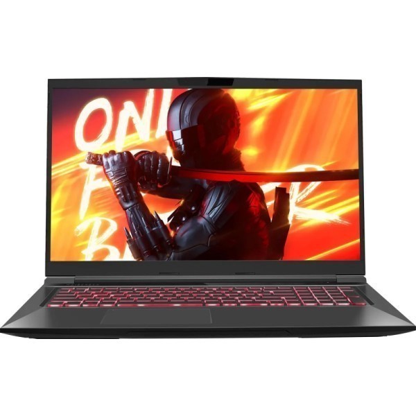 MAIBENBEN X725 Intel Core i5 12450H 2000MHz/17.3"/1920x1080/16GB/512GB SSD/NVIDIA GeForce RTX 4060 8GB/Wi-Fi/Bluetooth/Linux (X725FSFNLBRE0) Black 