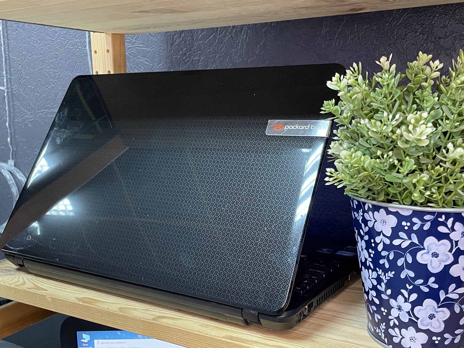 Ноутбук Packard Bell TS11-HR-378RU