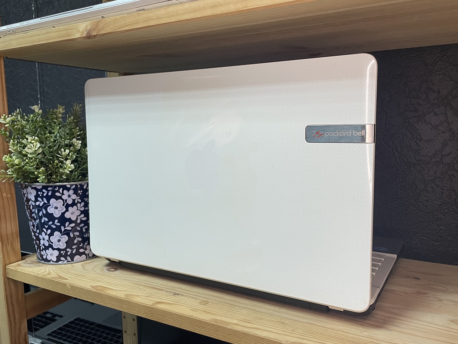 Ноутбук Packard Bell TS44