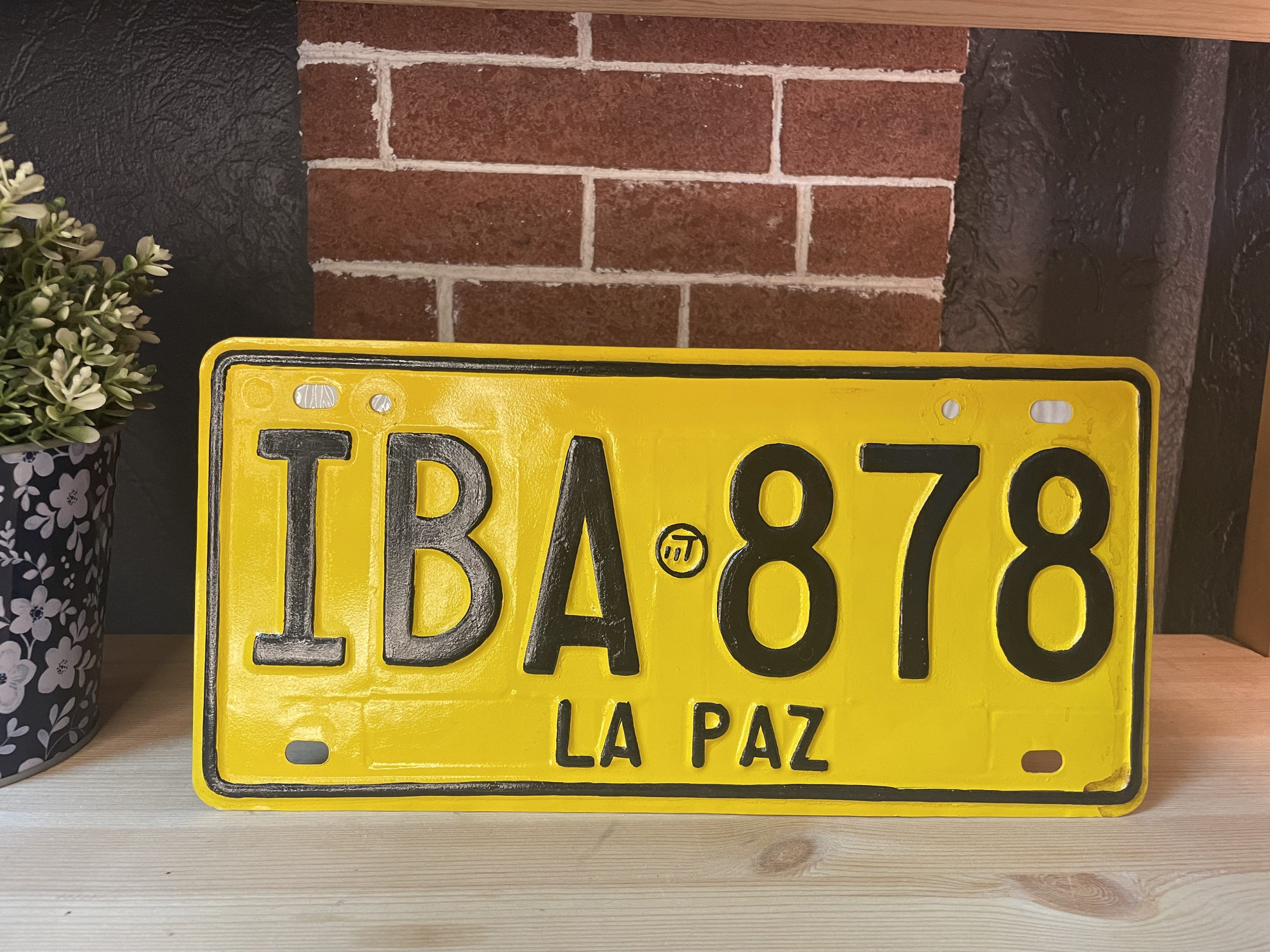 Номерной знак La Paz IBA 878