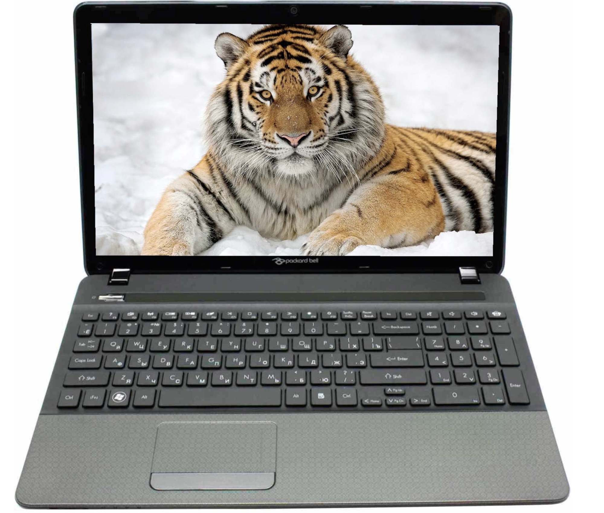 Ноутбук Packard Bell TS11-HR-378RU